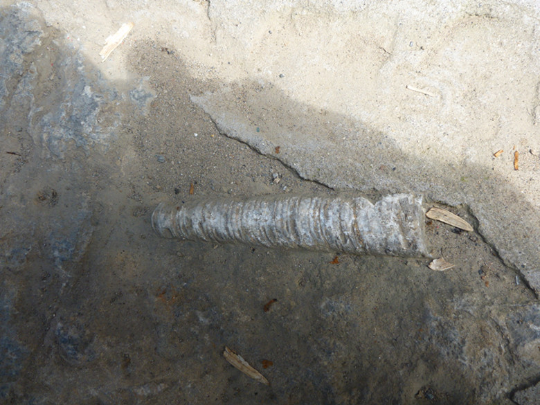 p1080629_.jpg