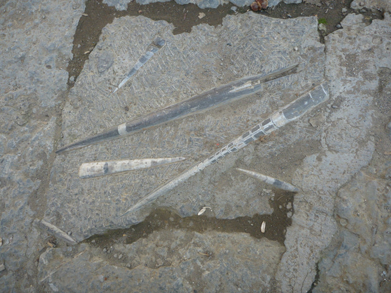 p1080635_.jpg