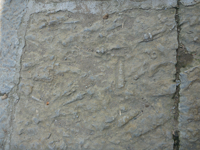 p1080634_.jpg