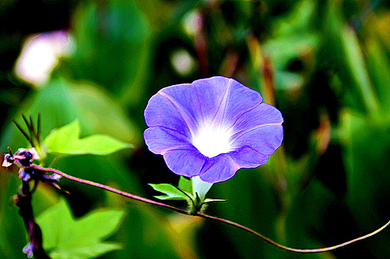 _mg_0060_.jpg