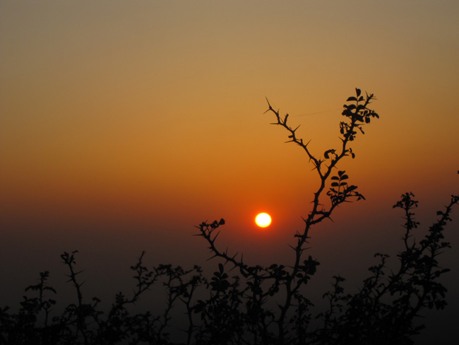 img_4938.jpg