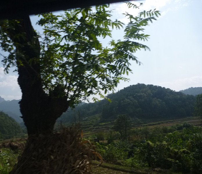 p1080646_.jpg