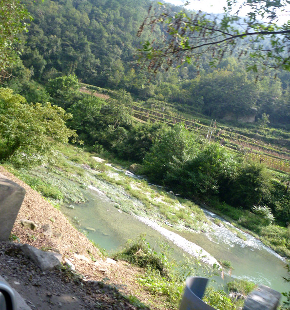 p1080650_.jpg