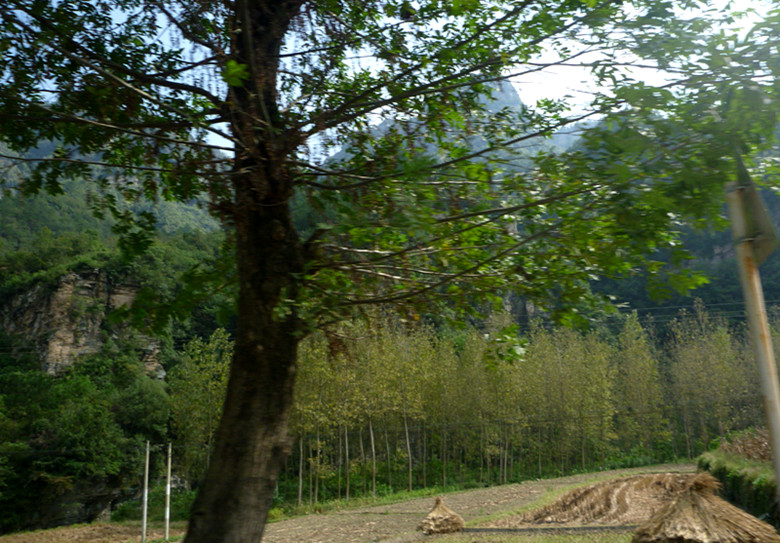 p1080649_.jpg
