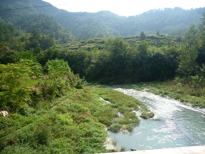 p1080647_.jpg