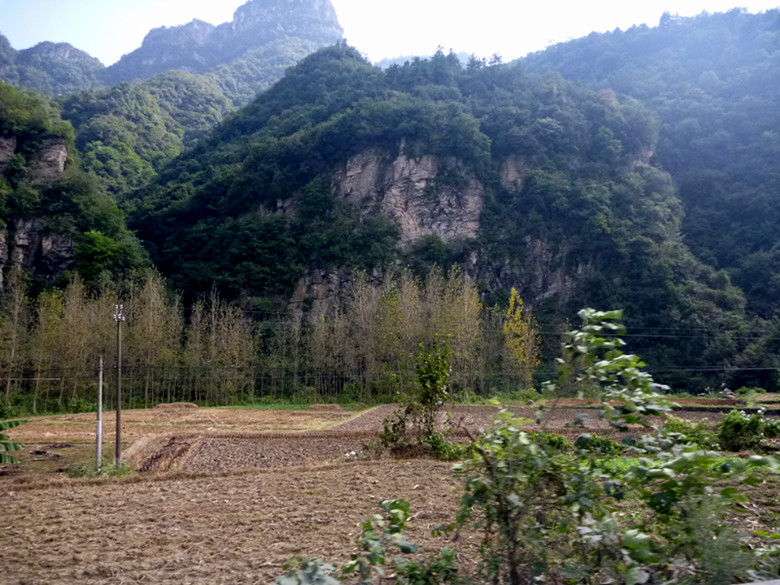 p1080648_.jpg