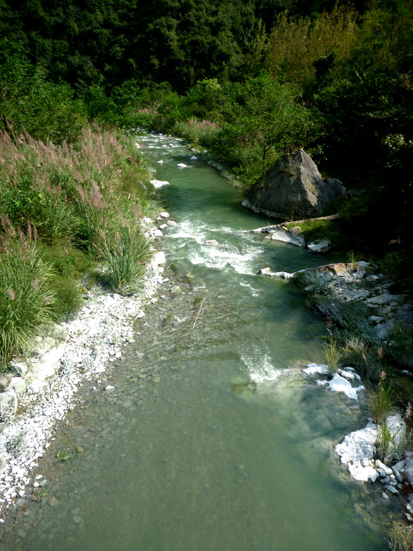 p1080651_.jpg