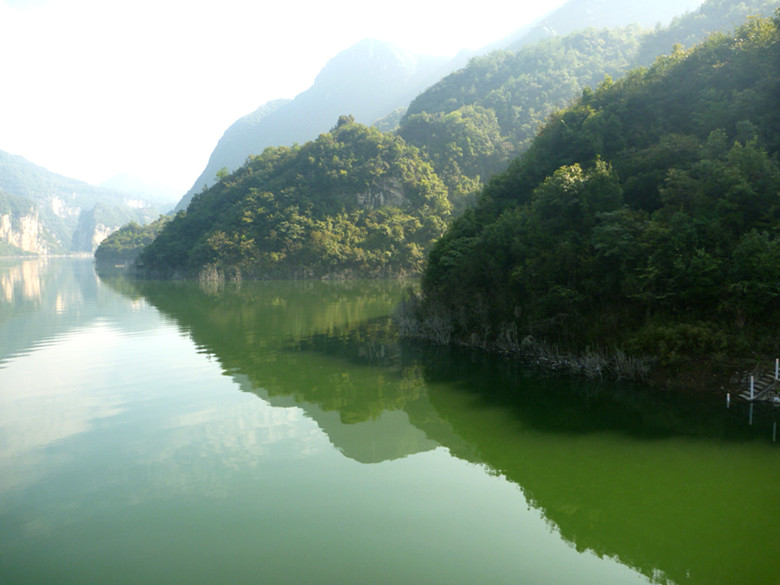 p1080559_.jpg