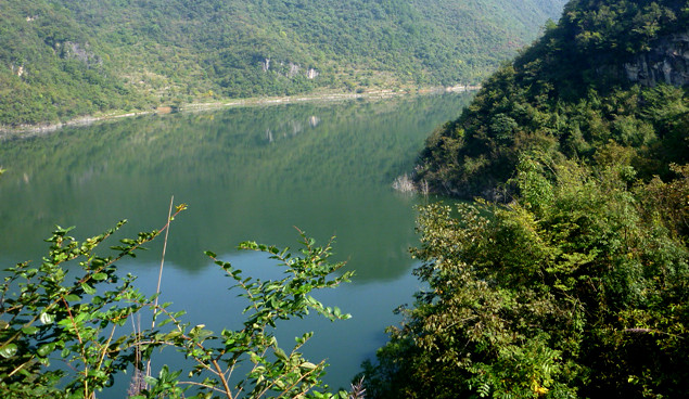 p1080563_.jpg