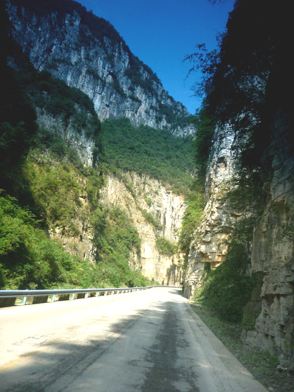 p1080669_.jpg