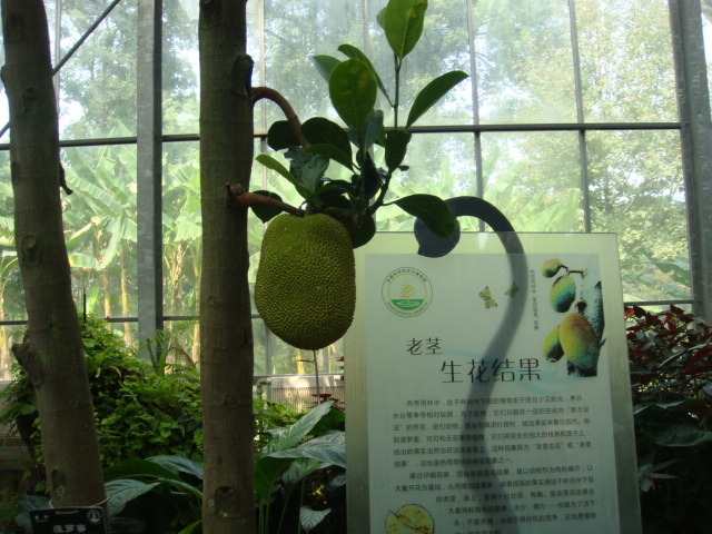 dsc03869.jpg