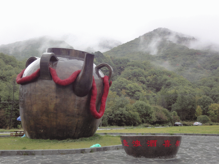 dsc06763.gif