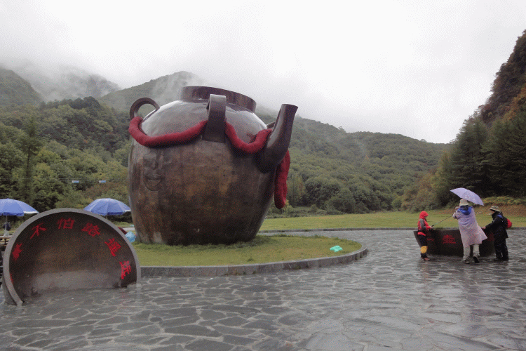 dsc06760.gif