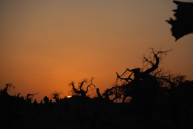 dsc_0914.jpg