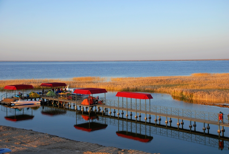 dsc_1003.jpg