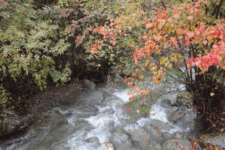 dsc06754.gif