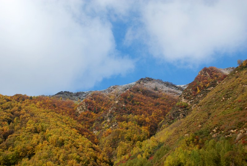 dsc_0058.jpg