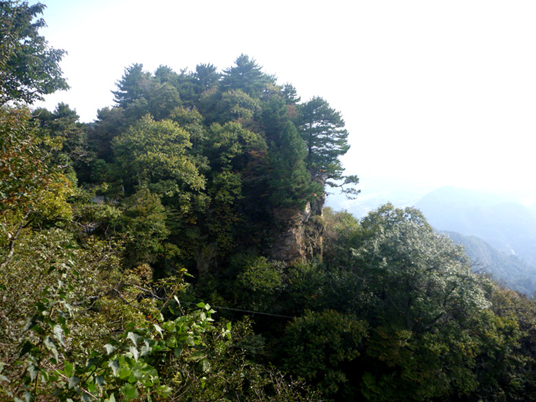 p1080680_.jpg