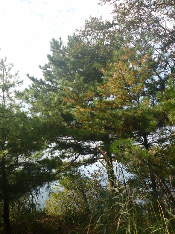 p1080679_.jpg