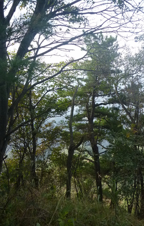 p1080678_.jpg
