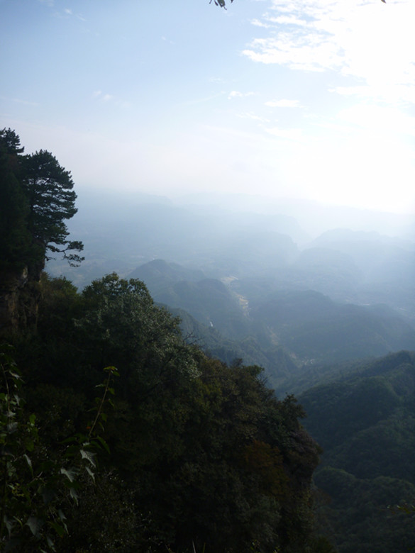 p1080682_.jpg
