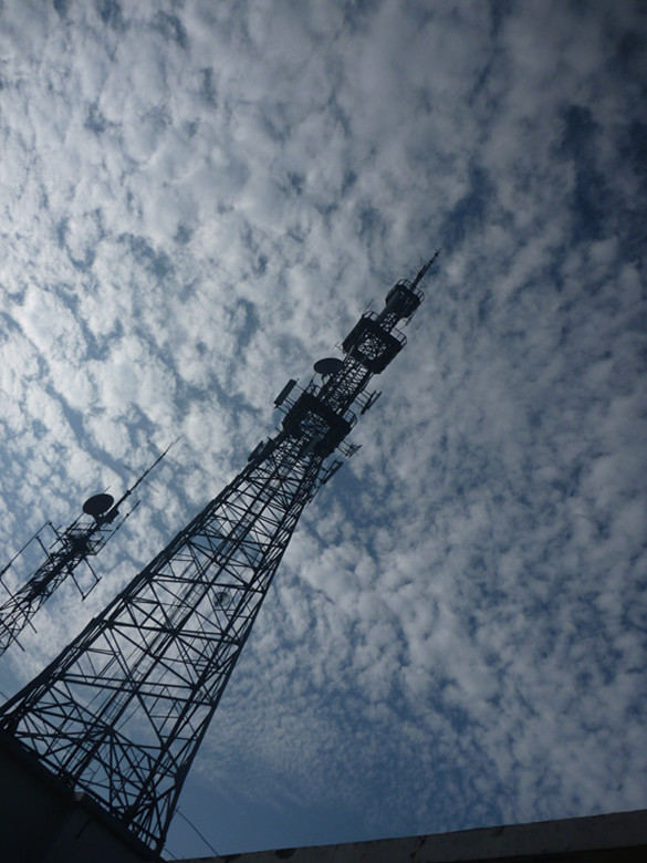 p1080690_.jpg