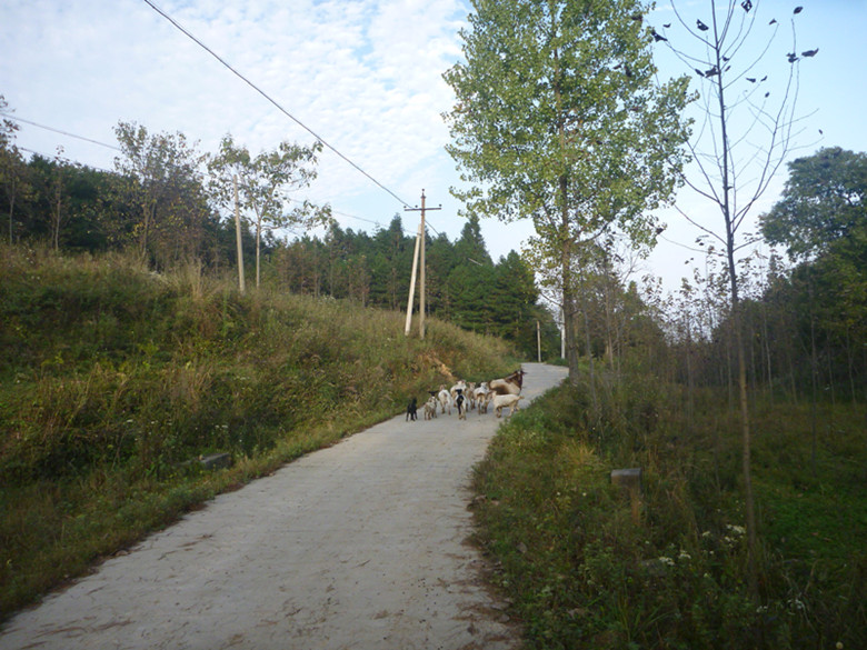p1080694_.jpg
