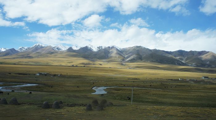 dsc05276.jpg
