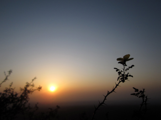 img_4976.jpg