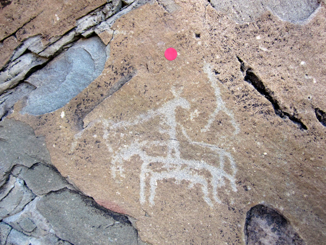 img_5080.jpg