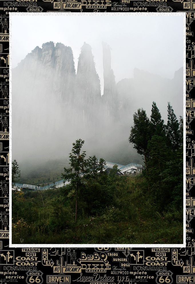 dsc00068.jpg