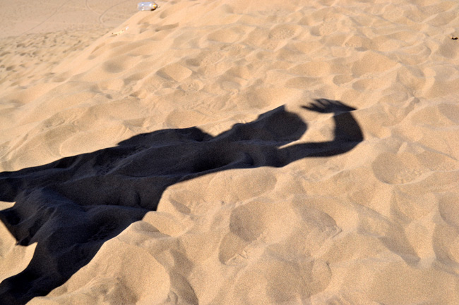 dsc_1315.jpg