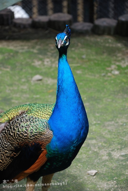 dsc_1292.jpg