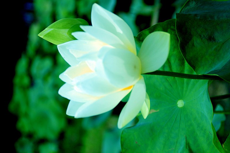 Ƭ 033_.jpg