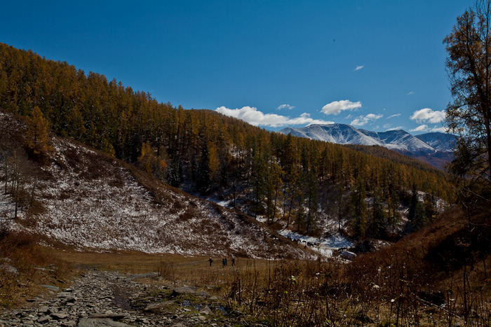 img_9137.jpg