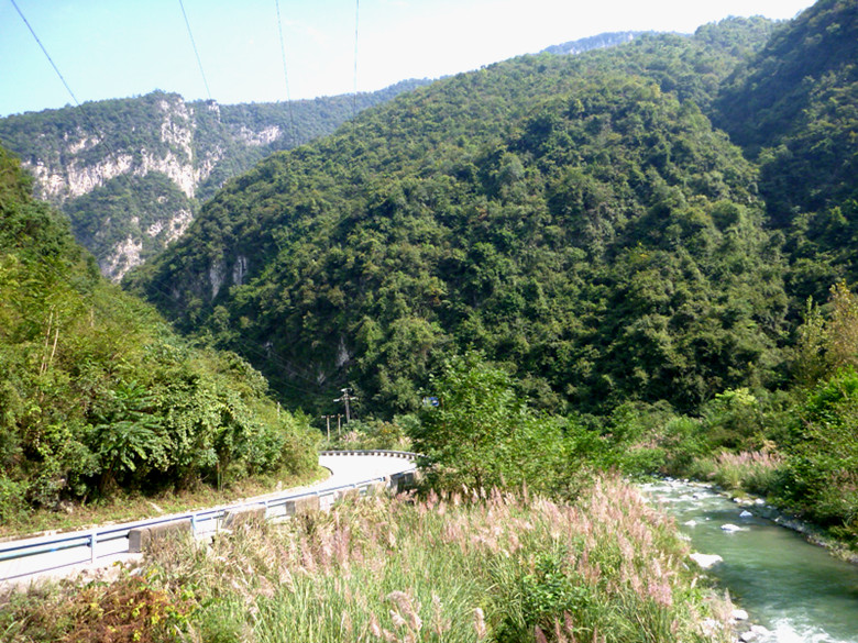 p1080657_.jpg