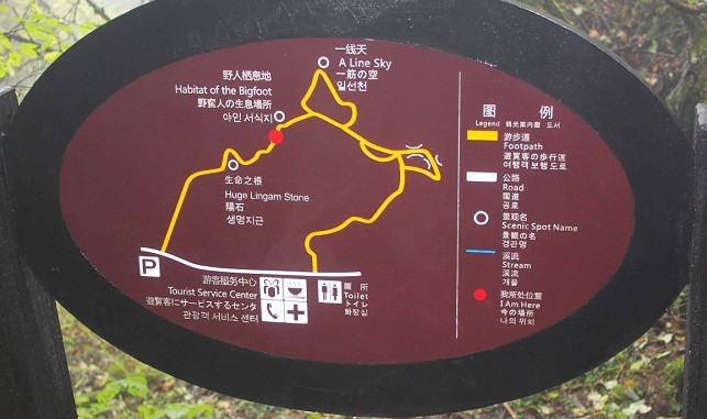 111.jpg