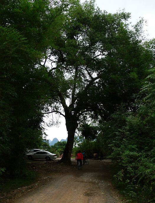 p1170168.jpg