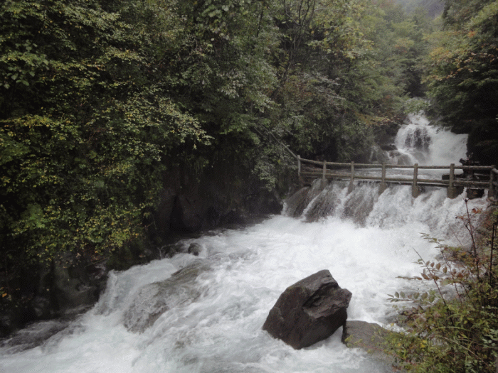 dsc06764.gif
