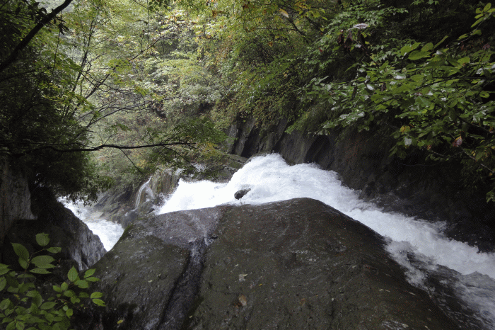 dsc06766.gif