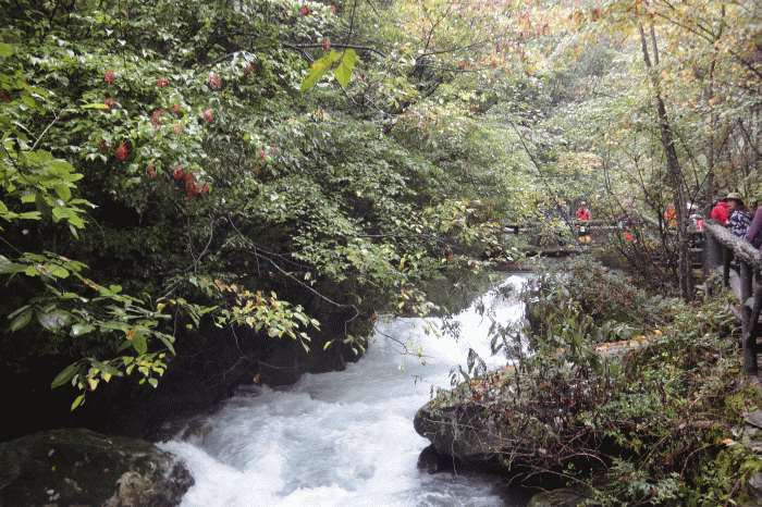 dsc06768.gif