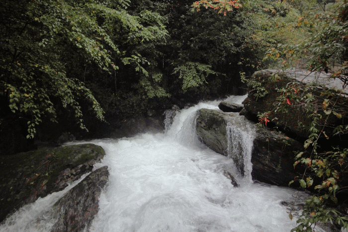 dsc06771.gif