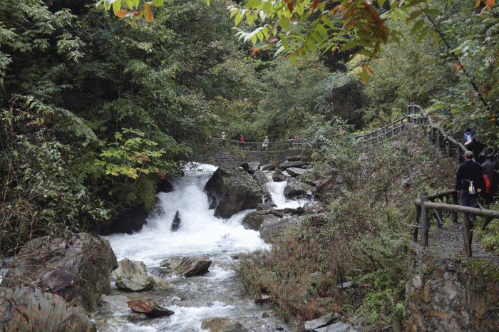 dsc06779.gif