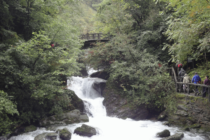 dsc06781.gif