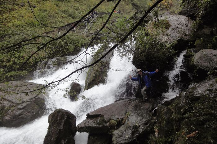 dsc06785.gif