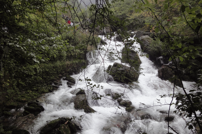 dsc06793.gif