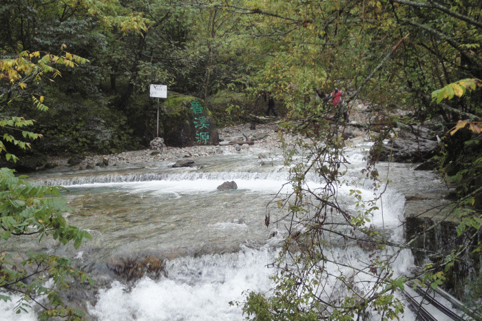 dsc06789.gif