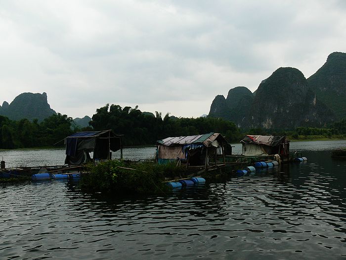 p1170173.jpg