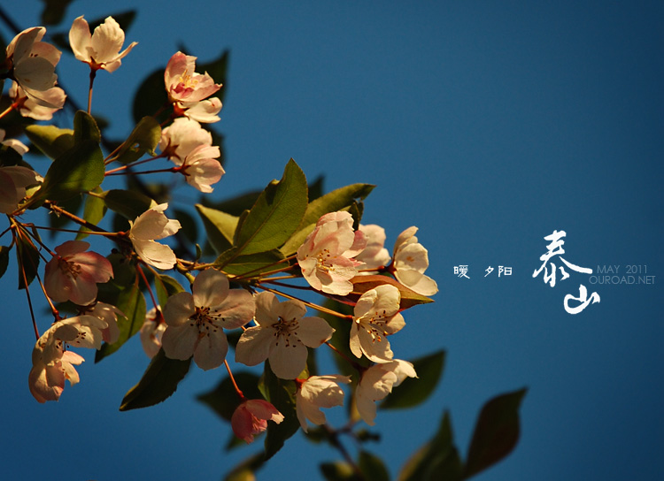 taishan_011.jpg