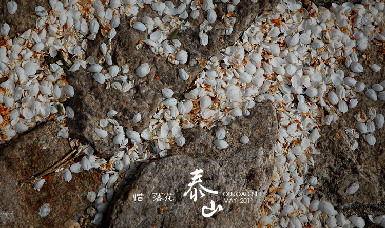 taishan_016.jpg